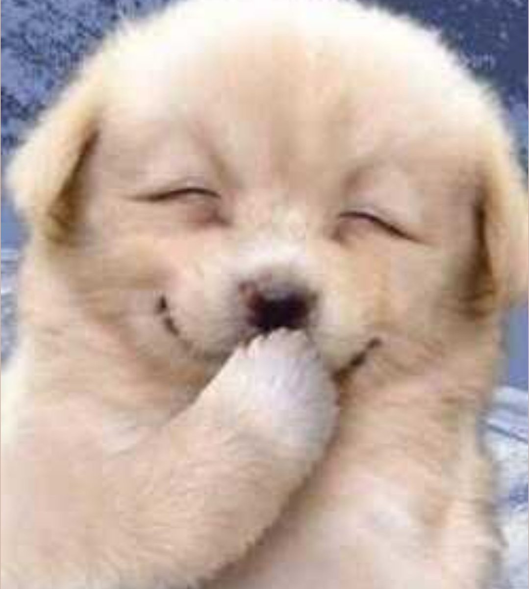 Liza_ferns's tweet image. I don&apos;t see the difference at all 😭😭🎀... 

#Smart_csnp 💗✨