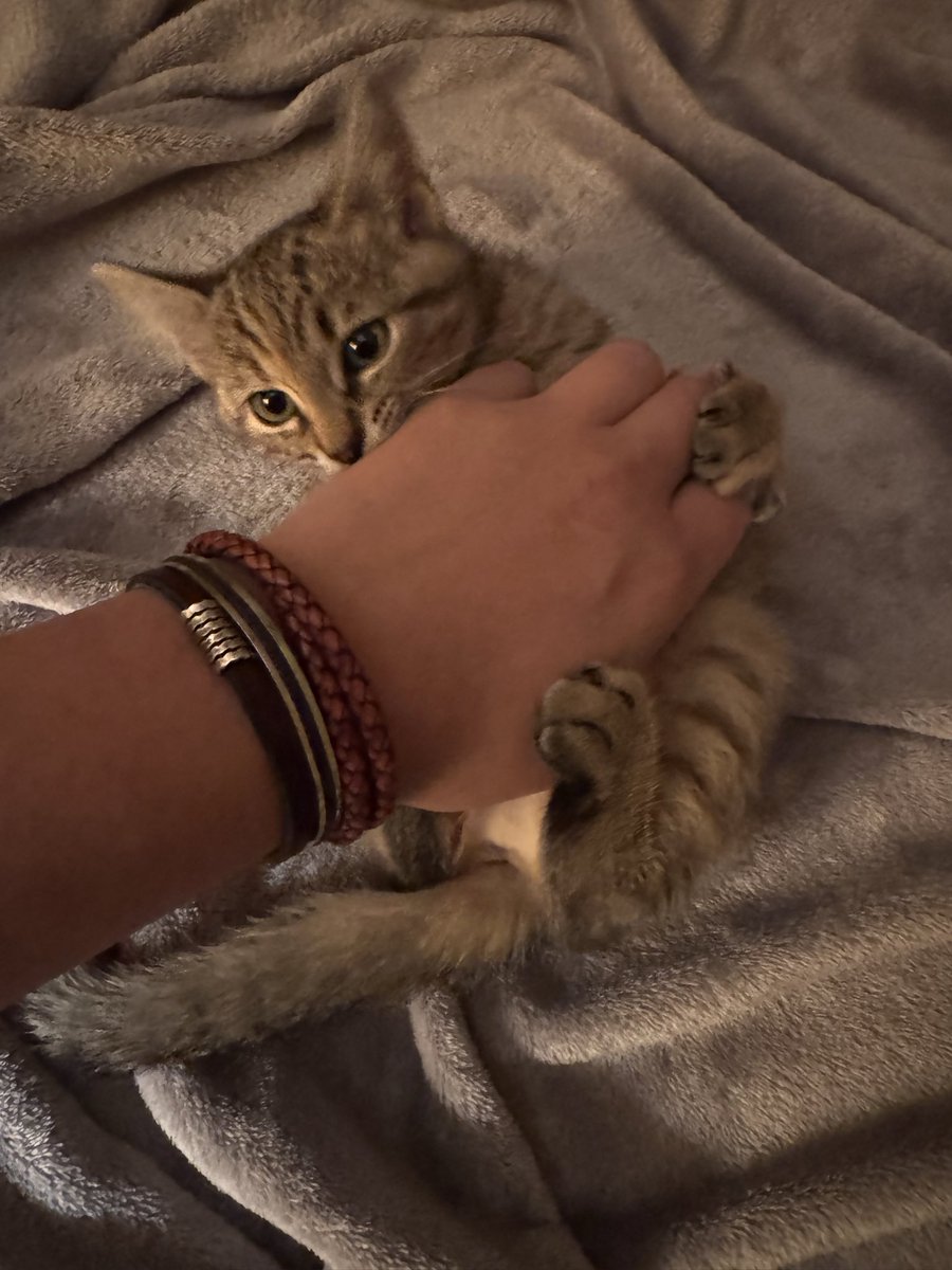 ᴅᴏɴᴏᴠᴀɴ² 🇺🇸 tweet media