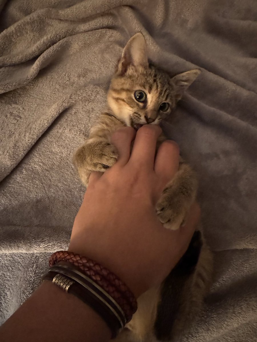 ᴅᴏɴᴏᴠᴀɴ² 🇺🇸 tweet media