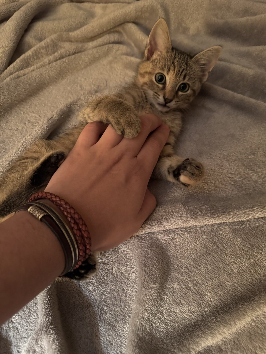 ᴅᴏɴᴏᴠᴀɴ² 🇺🇸 tweet media