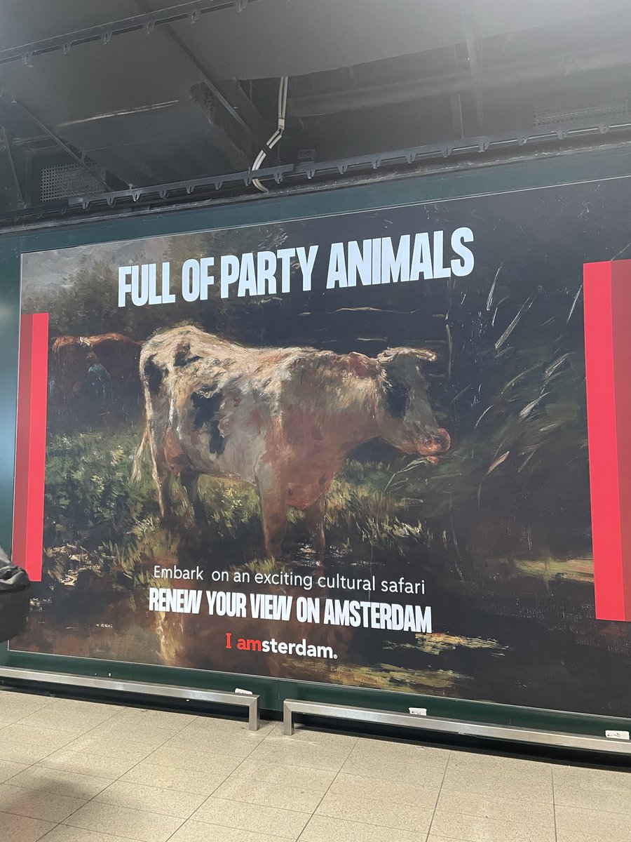 Hello #amsterdam ♥️
