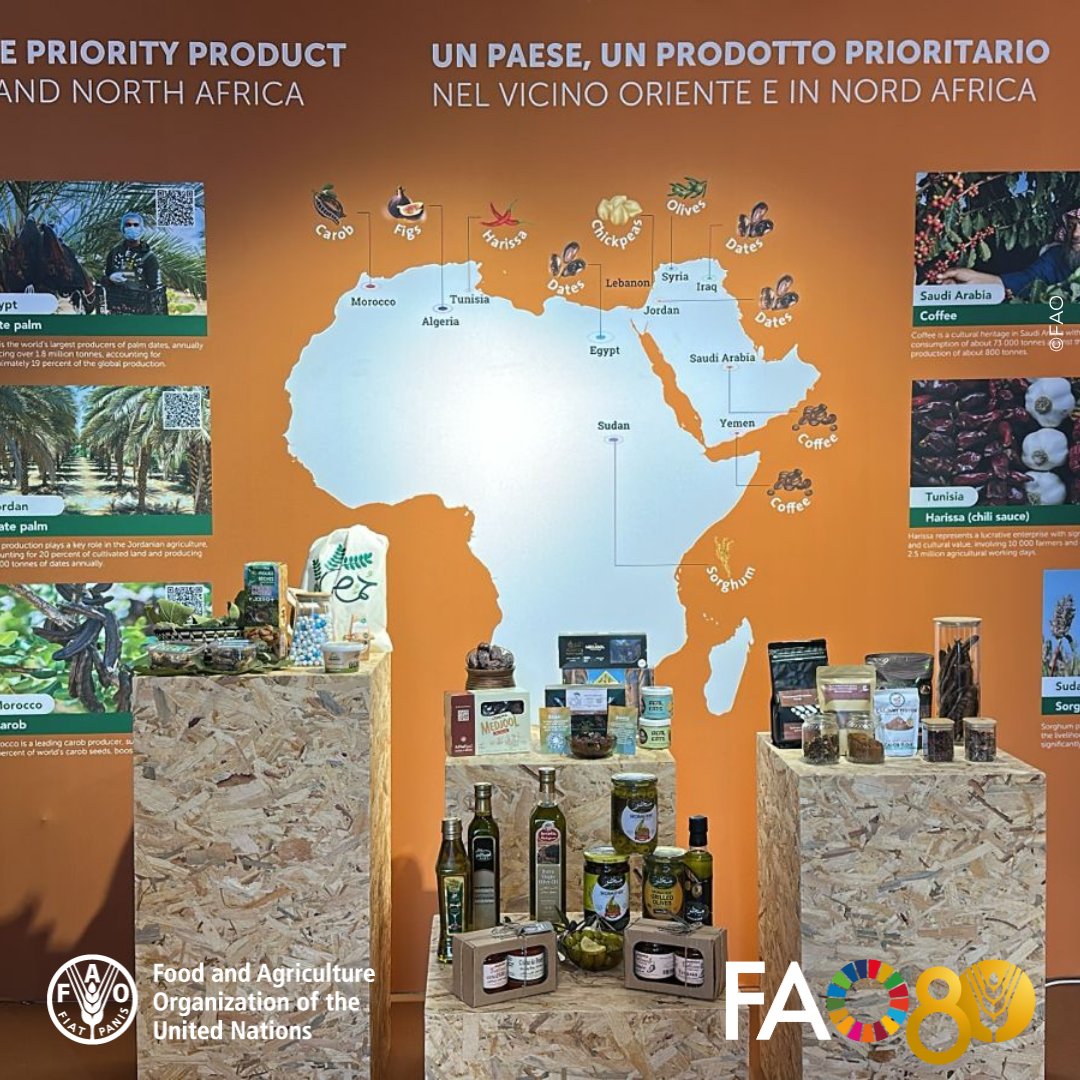 FAOinNENA_EN's tweet photo. At #FAO80, FAO NENA showcases how #OCOP helps countries transform unique crops into engines for rural   growth, trade &amp; sustainable agrifood systems. 🌱 #SeedsToFoods
🔗 https://t.co/2J5gSZzc37 https://t.co/A8GuOigGdw