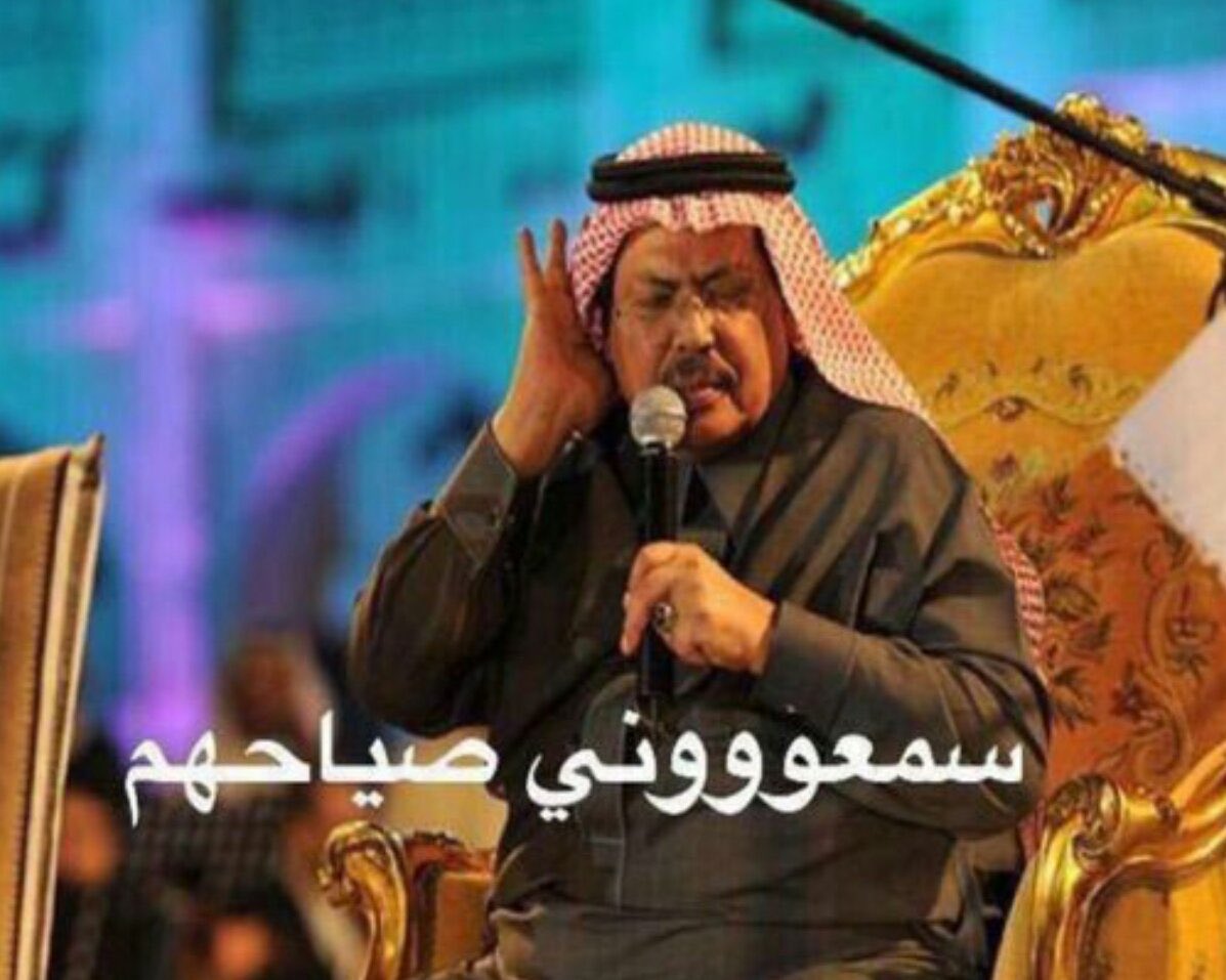 mohamadmsade's tweet image. الذباب السعودي الاماراتي البندوري