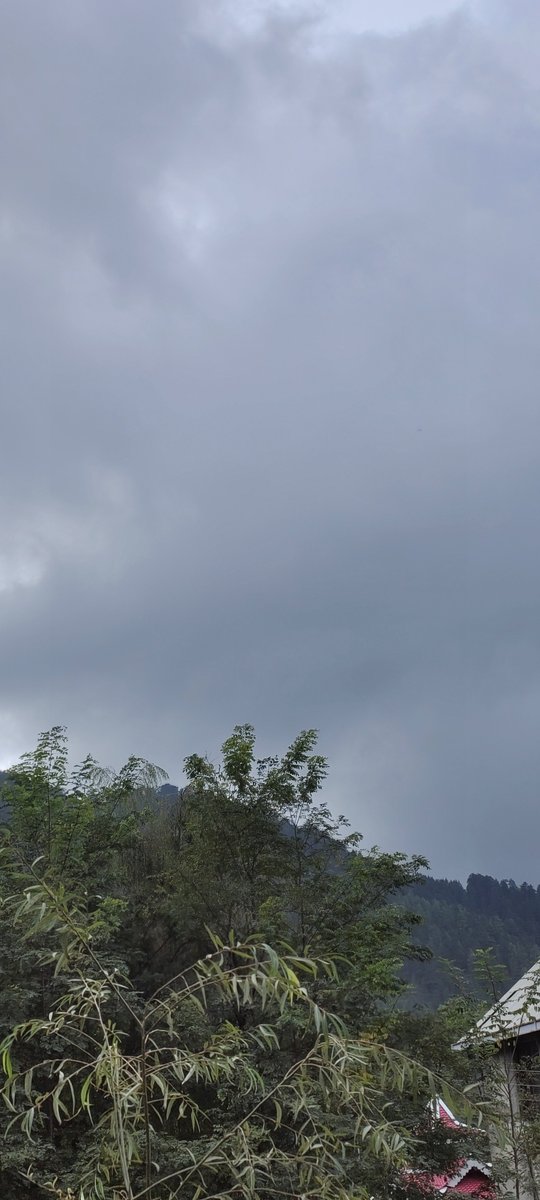 sidhshuk's tweet image. There goes the evening!

#mashobra #HimachalPradesh