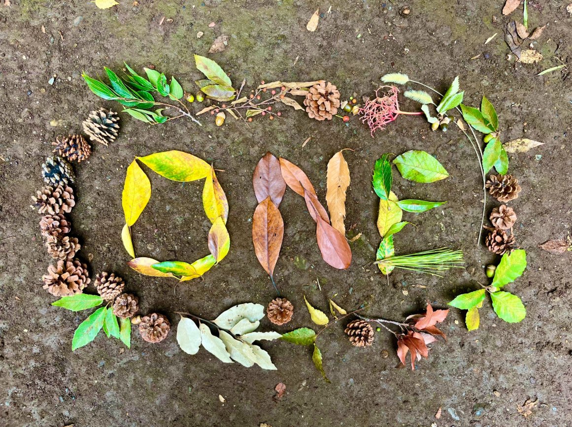 やっと秋めいてきましたね～🍁🍂

今日もおつかれさまでした🍵