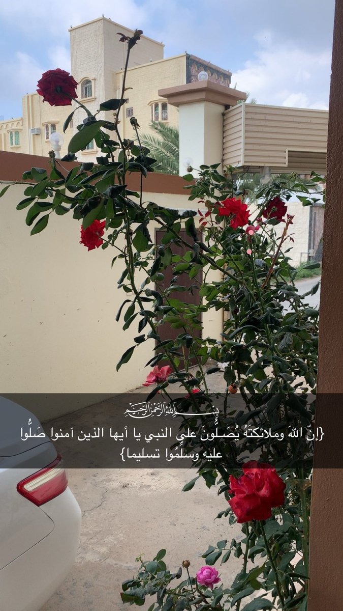 ios5590000's tweet photo. https://t.co/wtL4FlkFSe