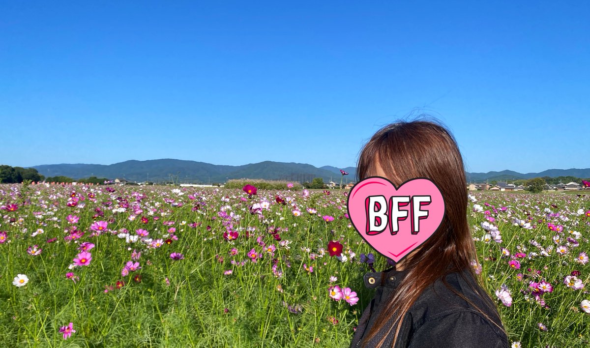 mimi( ◔︎㉦◔︎ ) (@mimi_mimi250) / X