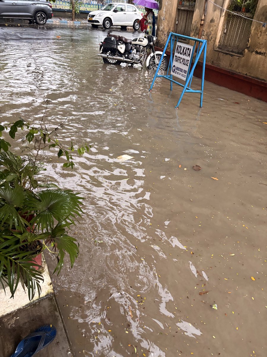 roy_mad's tweet photo. @kmc_kolkata  sir kindly see in our area drains are not working. Every time whenever rainfalls water log happening. Our address is 26 Pankaj Mallick sarani  Kolkata 19. Ward no 69. Please help. My mobile no is 9330001871. https://t.co/5X96GbI3qs
