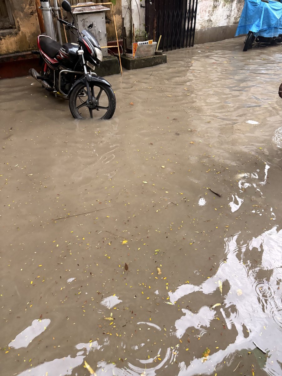 roy_mad's tweet photo. @kmc_kolkata  sir kindly see in our area drains are not working. Every time whenever rainfalls water log happening. Our address is 26 Pankaj Mallick sarani  Kolkata 19. Ward no 69. Please help. My mobile no is 9330001871. https://t.co/5X96GbI3qs