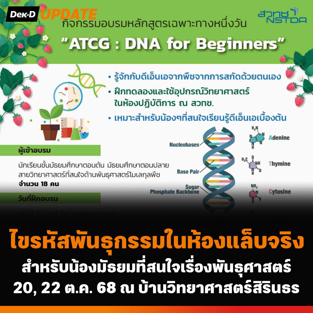 webdekd's tweet image. #dekdUpdate ATCG: DNA for Beginners 2025: ไขรหัสพันธุกรรมในห้องแล็บจริง
.
⭐ น้องๆ จะได้พบกับ 
✅ ความรู้พื้นฐานหัวข้อสารพันธุกรรมดีเอ็นเอทั้งภาคทฤษฎีและภาคปฏิบัติและสามารถนำความรู้ประยุกต์ต่อยอดในการเรียนรู้ด้านพันธุศาสตร์โมเลกุลอื่นๆ
✅…