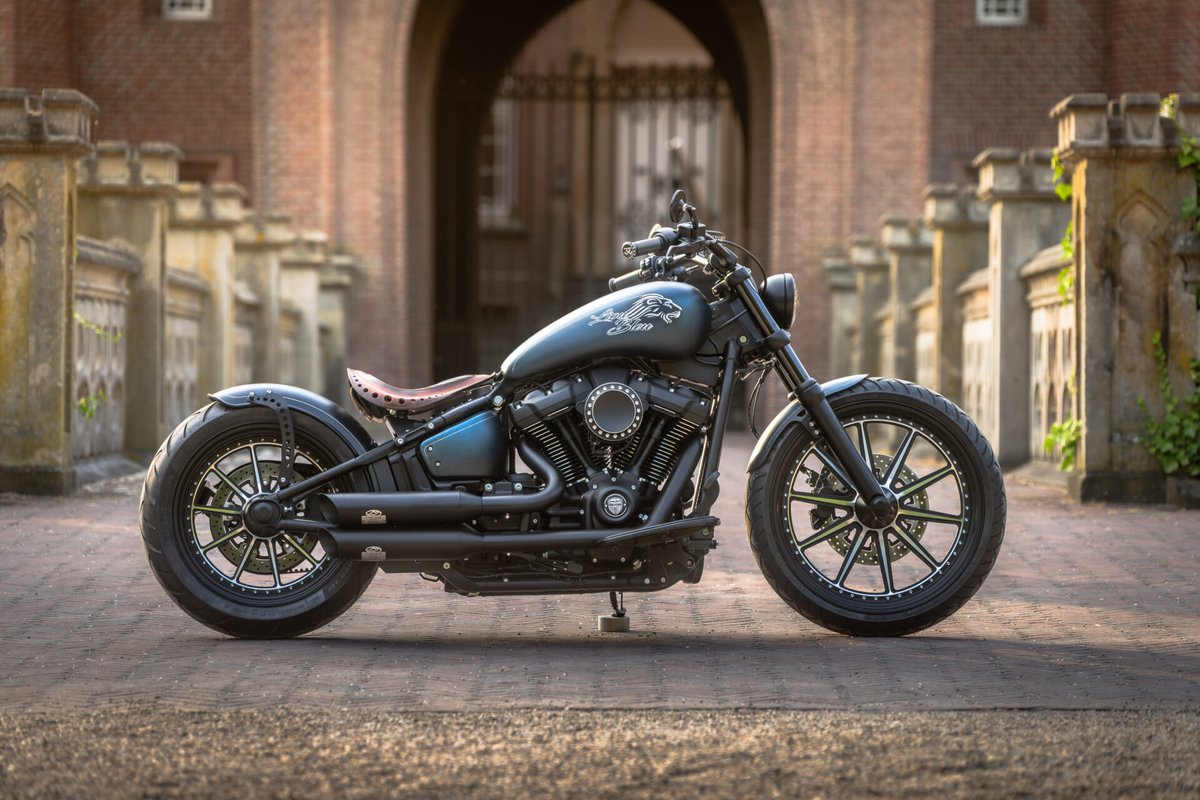 New <a href="/harleydavidson/">Harley-Davidson</a> Street Bob #bobber project. All photos, tech-sheet and video here:  thunderbike.com/custombikes/bl… #harleydavidson #motorcycles #biker