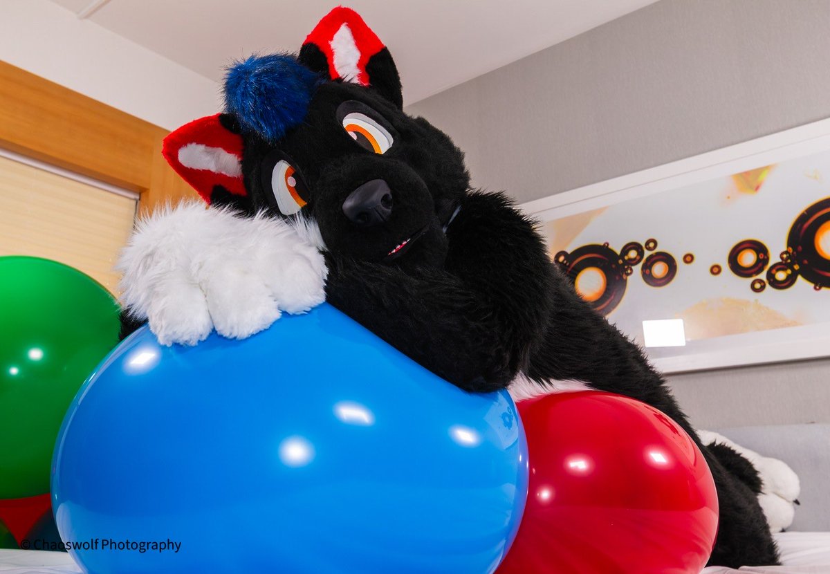 Dreaming about the weekend! ☺️

Happy #Fursuitfriday

📸 <a href="/chaoswolfphoto/">Chaoswolf Photography</a> 
📍 #eurofurence29