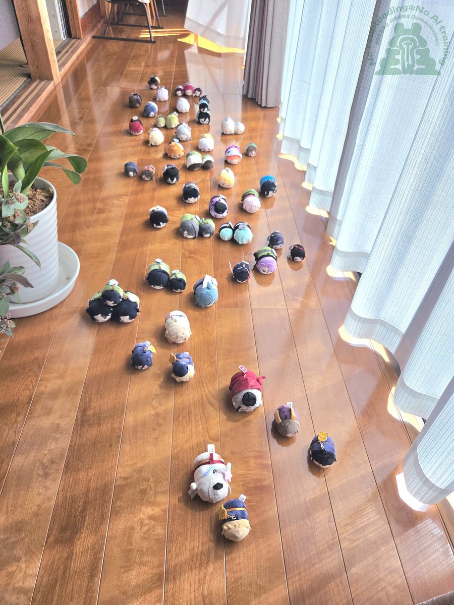 #おもちの日もちもち

秋の大運動会