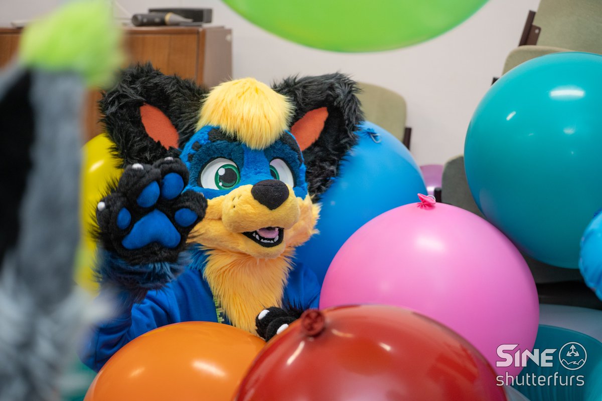 Happy #FursuitFriday everyone ✨

📸 <a href="/SineTheWolf/">Sine</a>