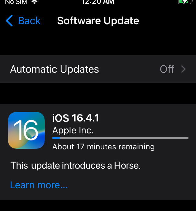 An update for iOS 16.4 briefly included a changelog that mentioned only a horse before being replaced with the actual version notes.