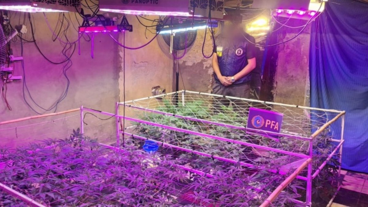 ElProgreso18's tweet image. Agentes del Departamento Federal de Investigaciones (DFI) de la Policía Federal Argentina desarticularon un invernadero clandestino destinado al cultivo de marihuana en Quilmes Oeste
LEE MAS 👇
periodicoelprogreso.com/quilmes-notici…