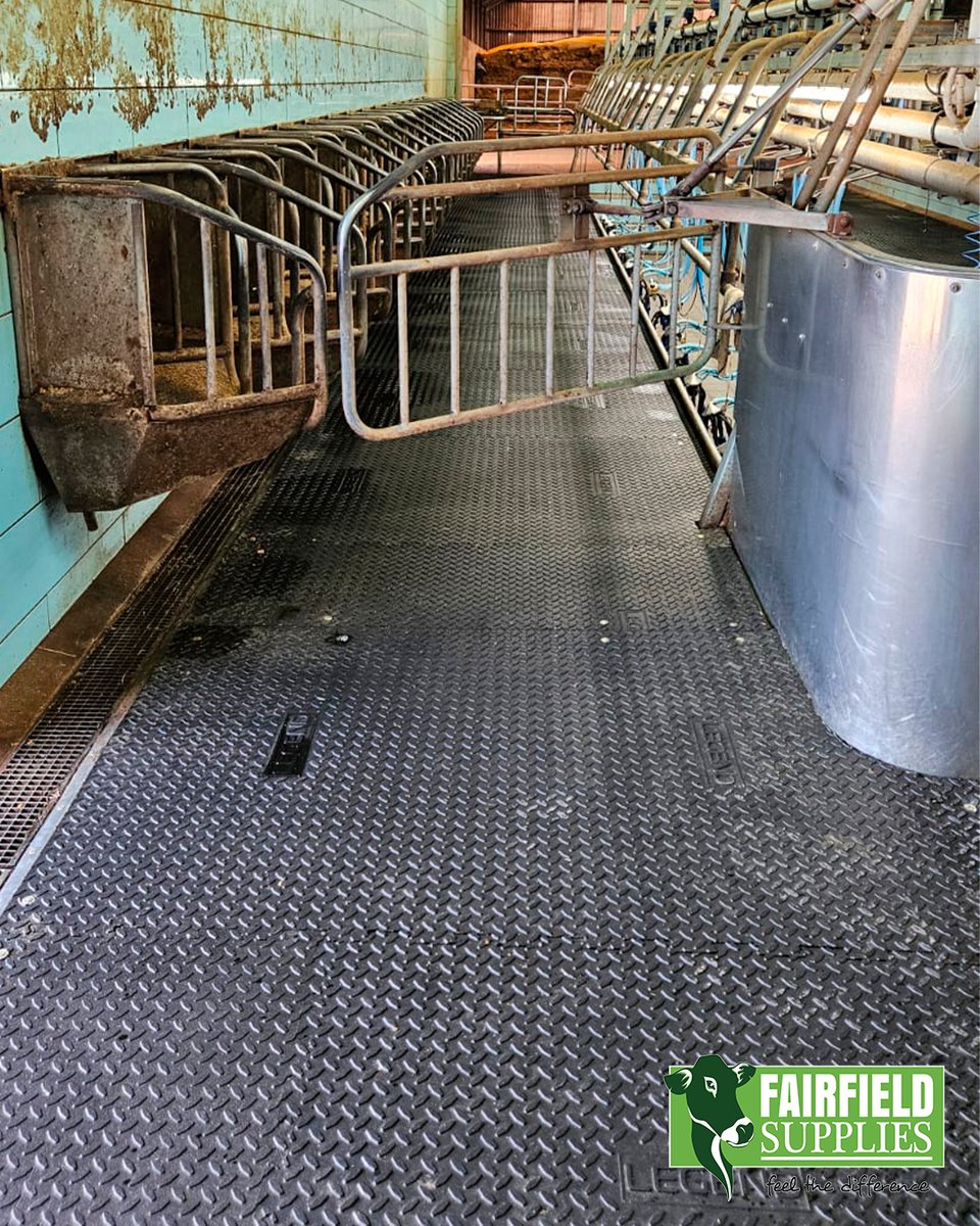 🐄 Just installed: Legend AgriMat. 
Boost in farm productivity. Unrivaled comfort &amp; grip.
✅Non-slip checker plate = fewer slips, more confidence 
✅Soft + tough = less bruising, less lameness 
✅10-year guarantee 
✅FETF ELIGIBLE

📞Contact us today! 

#farmers #farming #farmer