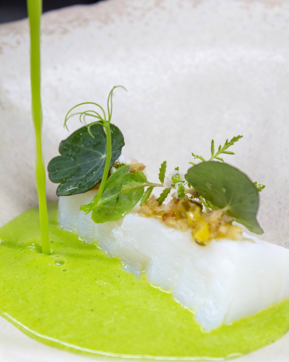 Sumérgete en el sabor de nuestros platos, abrazado por un caldo que es puro arte. Una experiencia culinaria de texturas y matices que solo encontrarás aquí.
No es solo comer, es disfrutar la exclusividad de Restaurante Javier Martín.
¿Vienes a vivirlo?