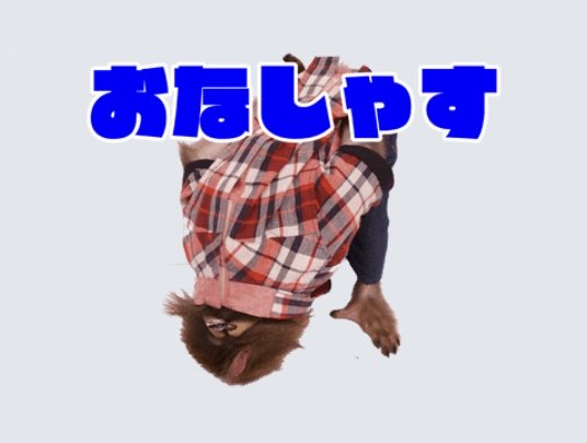dragon_question's tweet image. 薄々お気づきだと思いますが
明日(土)はショート動画の更新となります。

そして翌週18日(土)は生配信を行う予定です。
ちょっとお知らせもあります。。。

いろいろ頑張ります。頑張ってます。
もうひと頑張りします。