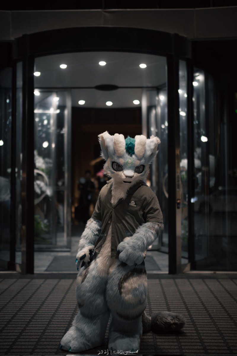 Night time.
📷：<a href="/chenyuf2333/">chenyuf2333→异世界</a> 
#FursuitFriday