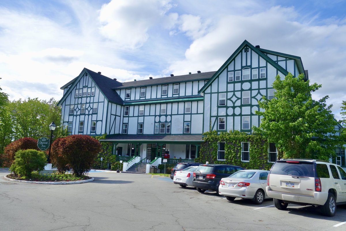 Stan Collins tweet media