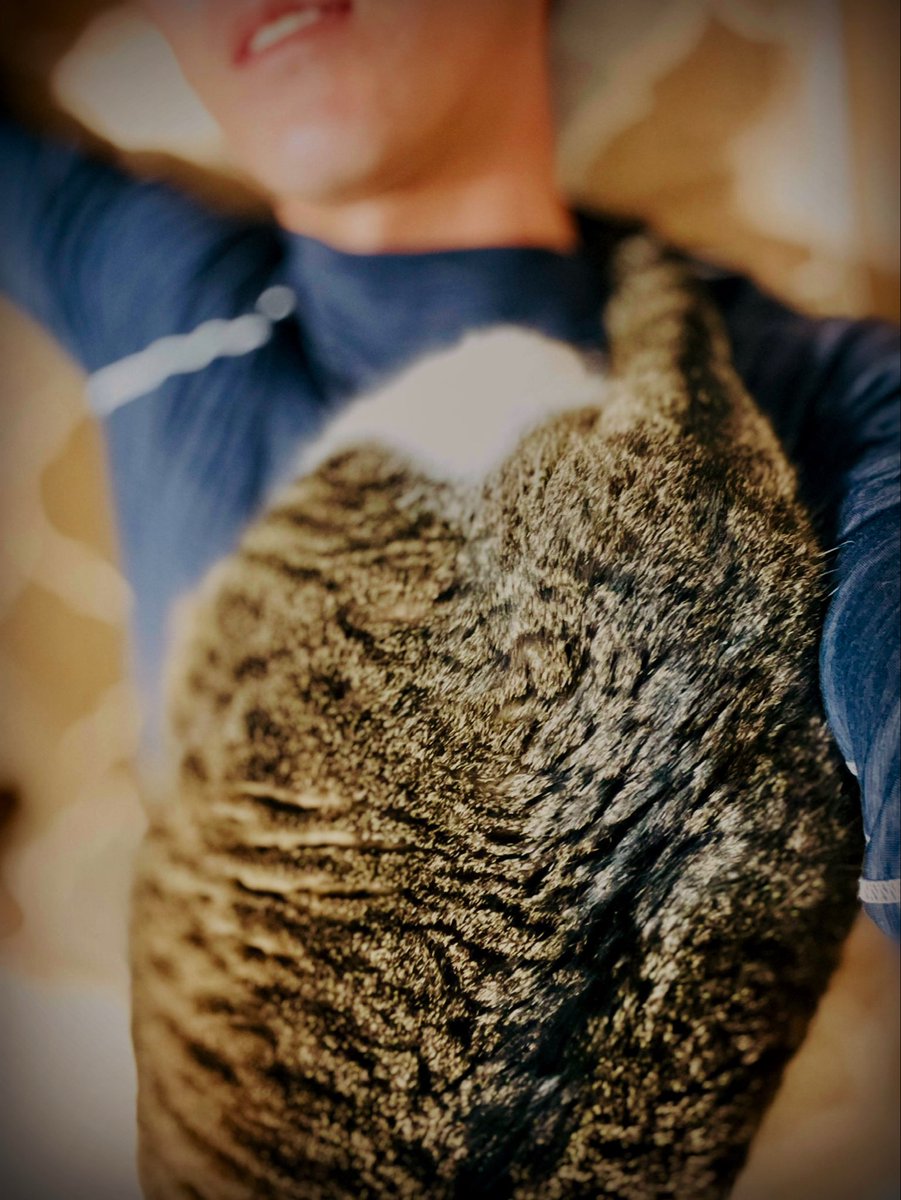 Happy has loved being on my lap ever since she was a kitten.
#cat