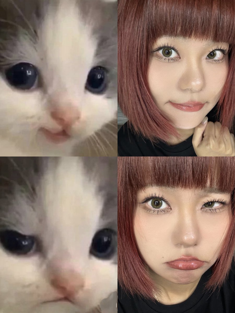 YUUNO✨ tweet media