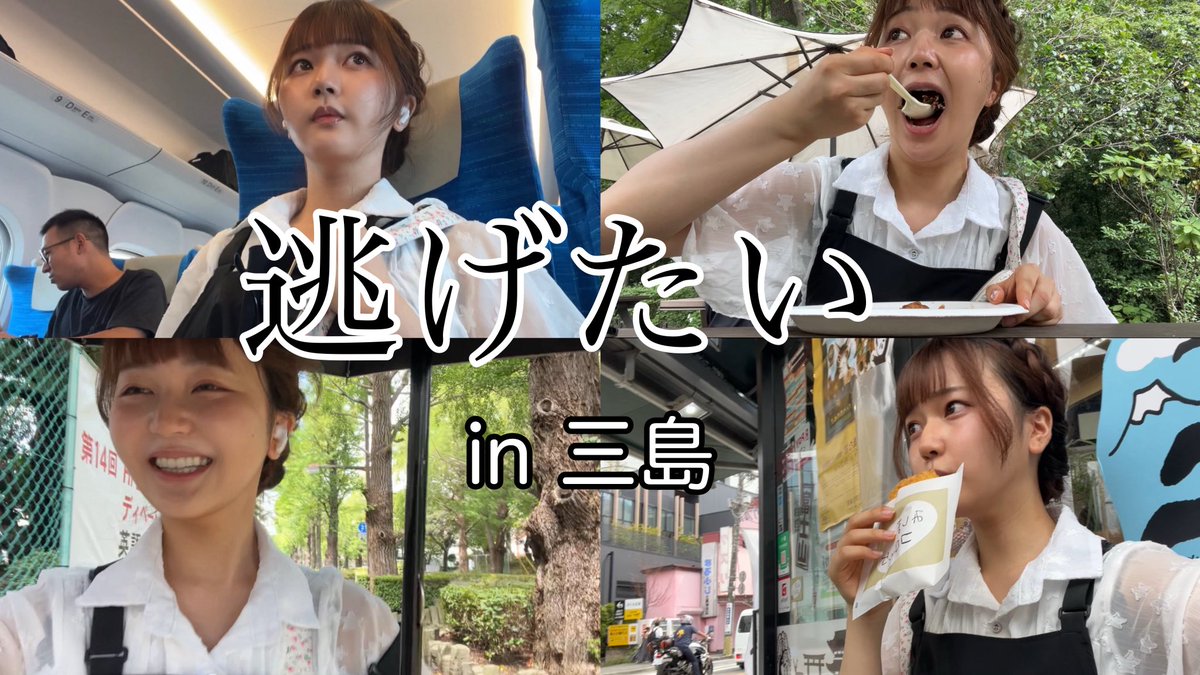 わたげ【公式】 tweet media