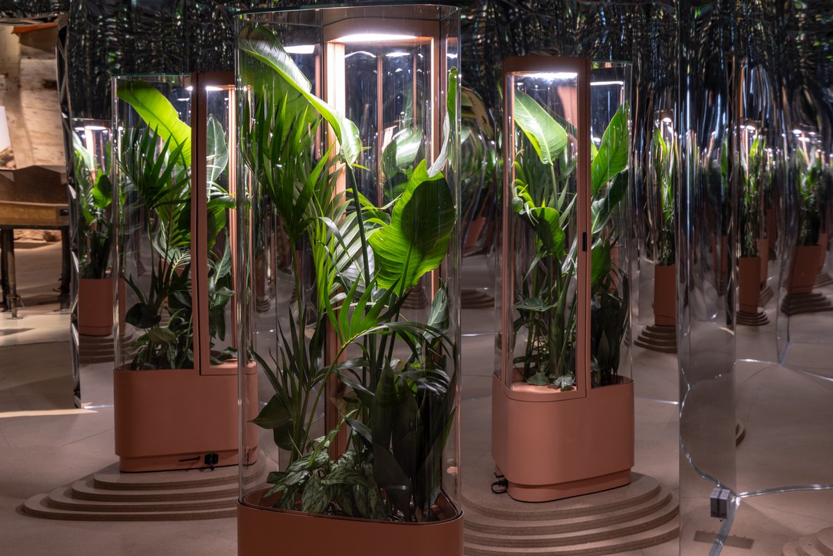 la_Biennale's tweet image. #BiennaleArchitettura2025 La nostra esplorazione di #IntelliGens prosegue all’Arsenale con #NaturalIntelligence – una sezione che reimmagina il rapporto tra architettura e mondo vivente. Un tempo concepita per proteggerci dalla natura, oggi l’architettura deve imparare da essa:…