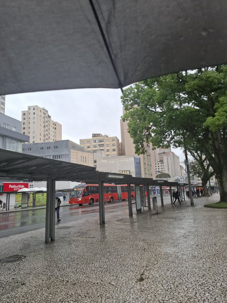 Alguém avisa minha cidade que já estamos na primavera?