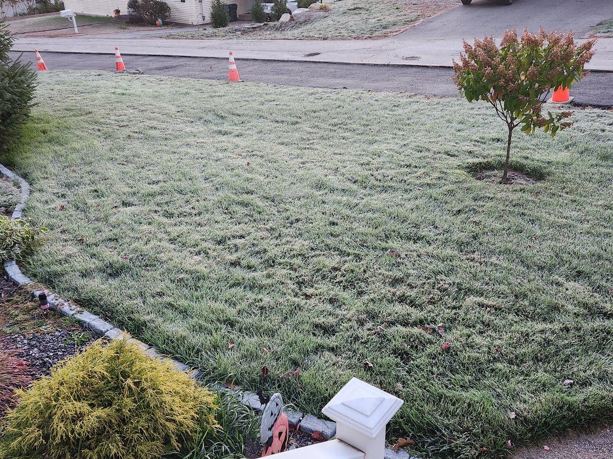 First and hard frost this morning.