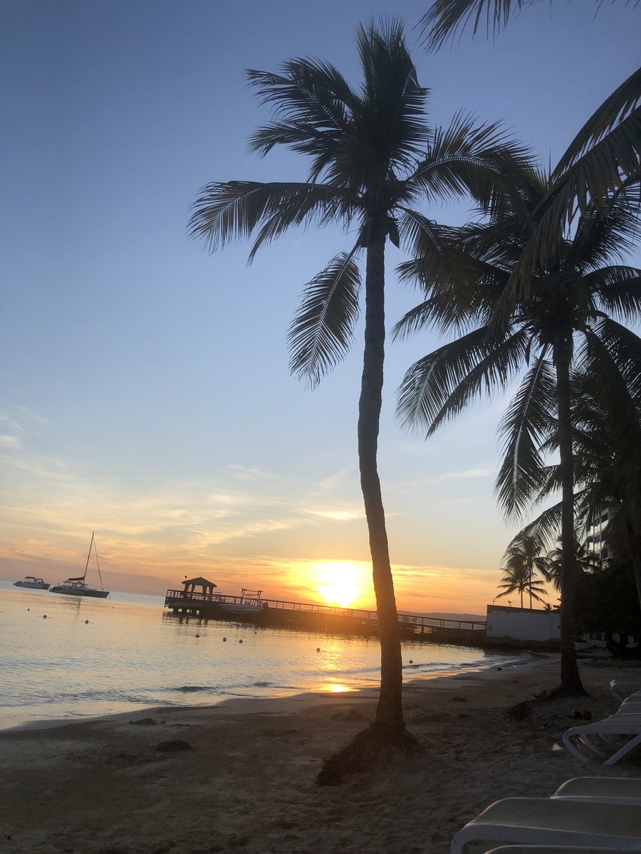 jack91edwards's tweet image. Jamaica 🇯🇲
