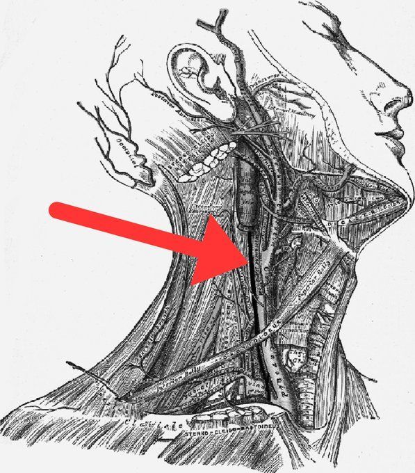 AscendenciaX's tweet image. No puedes dormir
Tu corazón está acelerado.
Sientes opresión en el pecho.

Todo el MUNDO culpa a la ansiedad.
¿Pero el verdadero culpable? El nervio vago.

Estos 8 ajustes se ven extraños...
Pero desencadenan el ALIVIO del estrés que tu cuerpo necesita: 🧵