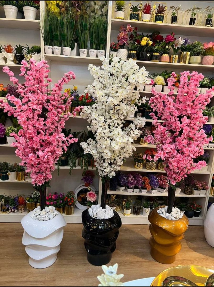 liorhome's tweet image. Bring life and color to your space 🌸✨
These premium flower arrangements are pure elegance — no watering, no stress, just beauty that lasts forever 💕
Price: ₦85,000 each
#HomeDecor #FloralVibes #LuxuryLiving #AestheticDecor #InteriorInspo