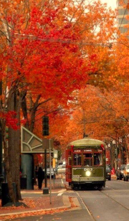 ava_sparks_ava's tweet image. A vintage-style tram in this historic district charming urban area - #NewOrleans, #SanFrancisco or #Toronto; such a nostalgic and warm atmosphere.
#Fallvibes #urbanphotography #vintage #Autumncitybreak