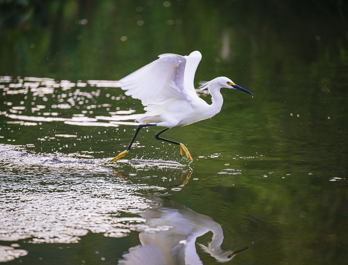 Inte mycket fotboll på ön Ihla Grande i Brasilien, men väl futevôlei. Det är ett för övrigt ganska så trevligt land det här.