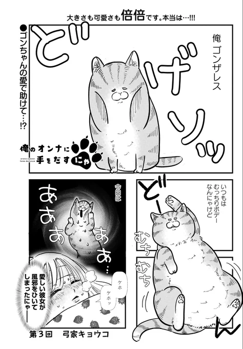 アイドルとドデカ猫 