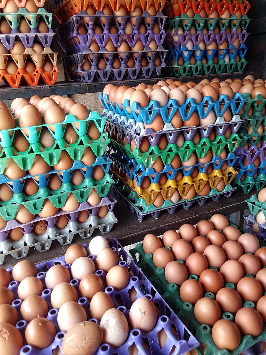 Osybeke's tweet photo. @stayingpositif Good afternoon sir @stayingpositif am a vendor based in Port Harcourt, I sell
Crayfish, egg and indomitable both online and offline i also deal on senator materials and ankara as a support on my hustle.
I will really appreciate your support on my small business
Thanks https://t.co/kkp12FtBSC