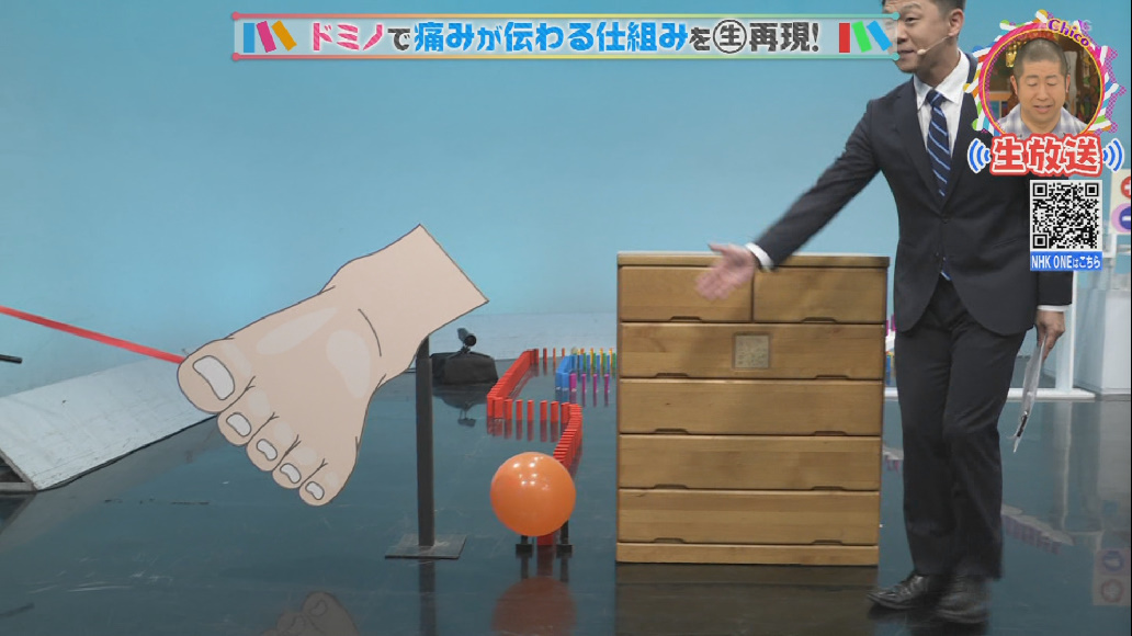 adasan2015's tweet image. これぞNHK
#チコちゃんに叱られる