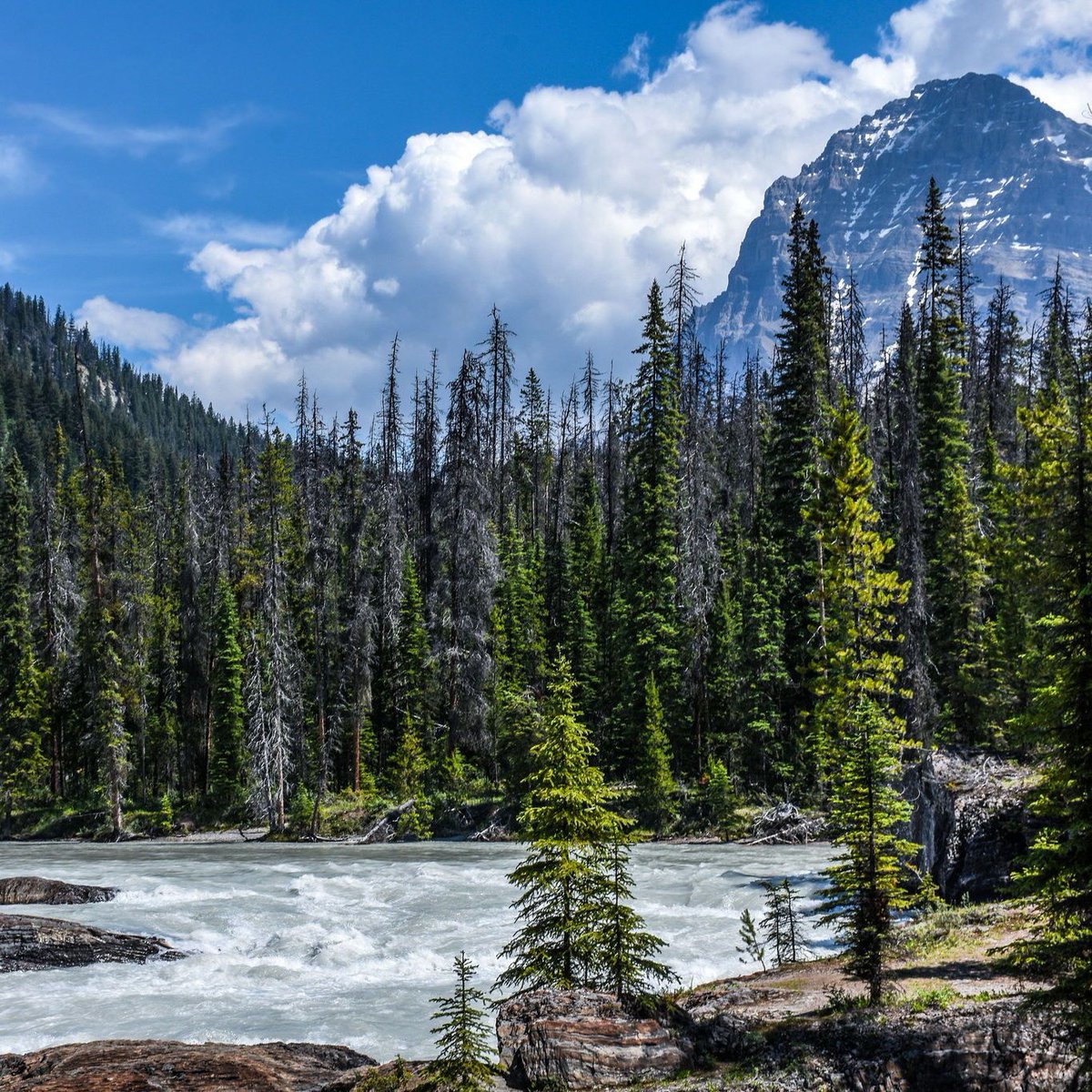 On this day in 1886, Yoho National Park was created in British Columbia. It was established after Sir John A. Macdonald and his wife Agnes passed through the area on the newly-built CPR. The 1,313 sq-km national park is now a UNESCO World Heritage Site.