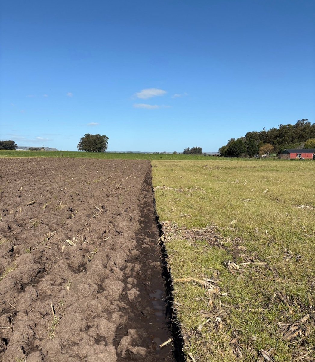 Arrancamos a sembrar los ensayos de manejo de <a href="/SupraSemillas/">Supra Semillas</a> Generaremos info sobre compactación, fraccionamiento de Nitrógeno, ubicación del Nitrógeno y fuentes en ultra bajadensidad, fechas de siembras en ambientes de potencial etc etc!! Ya les contaremos detalles...