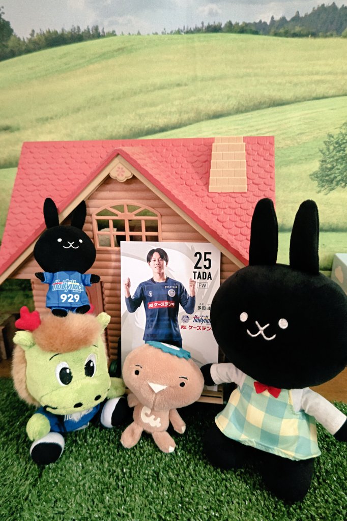 motemeter's tweet photo. 2025明治安田J2リーグ第32節
愛媛 1 - 3 水戸

中堅のゴラッソで反撃の狼煙を上げ
ルーキーのJ初ゴールで逆転し
在籍最長の復活弾で突き放す🥅⚽

今季初の逆転勝利で勢いに乗り
いざ千葉との大一番へ🔥
#ホーリーウーサー https://t.co/6gcf1y4B6z