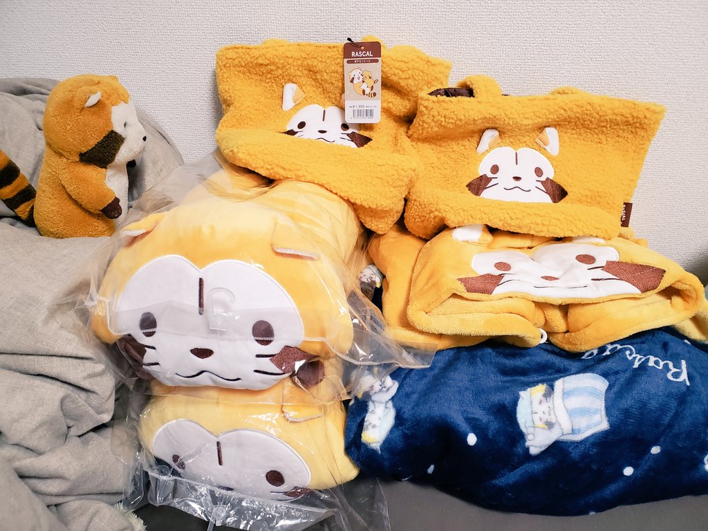 Chibi__Ras's tweet photo. なにかな～と思ったらラスカルグッズ！
こっそり入ってみたよ◆^･ㅅ･^◆ https://t.co/QbyUKbEoVK