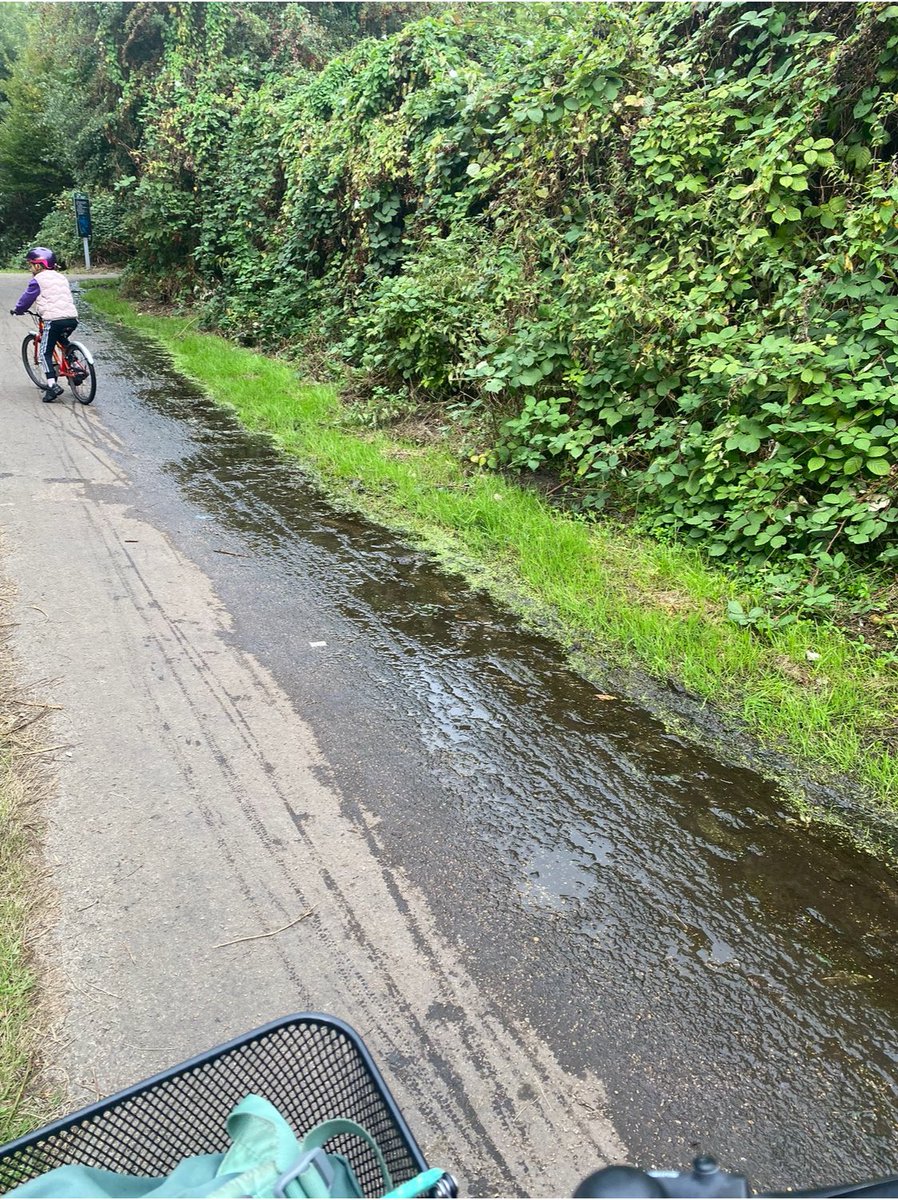 Solene Fabios tweet media