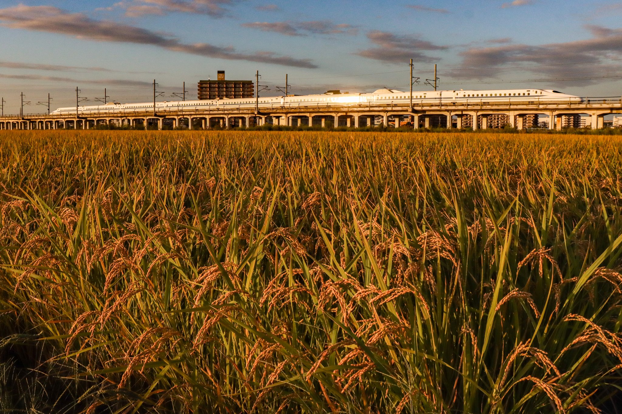 大幅お値下げ⭕️ Xデザイン・ハイパーシリーズ20周年特別企画｜オルファ株式会社