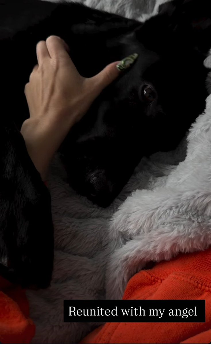 Good Morning K9 lovers 🐶🐾 
Hmu for weekend newly recorded stuff. ⬇️
t.me/Bella_knotts
#k9girls #dogbitch #aoz #artofzoo #k9slut #zoolove #doglover #k9lady #knottygirl