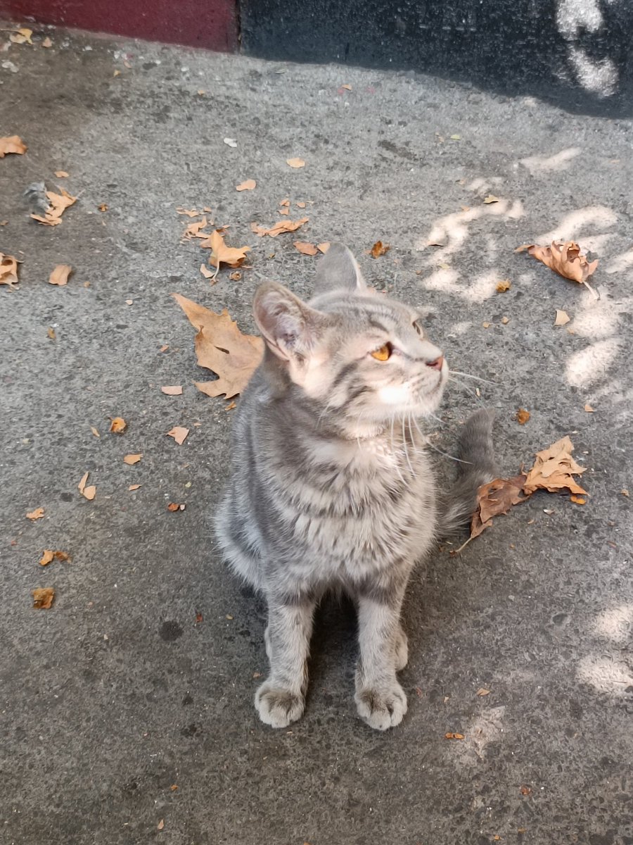 چون دیگه بهش غذا ندادم 🥲🥹