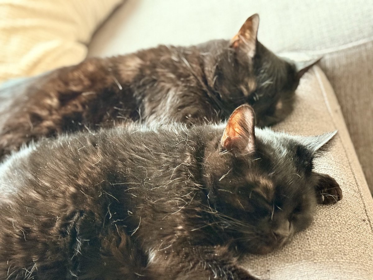 Den zweien werde ich es an diesem Wochenende gleich tun. Viel Entspannen und Battlefield spielen. Wie siehts bei euch aus? Auch einige in Battlefield unterwegs? Was zockt ihr so derzeit?