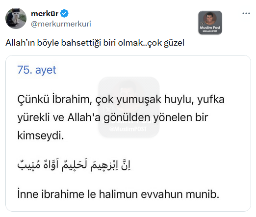 Muslim Post (@muslimp0st) on Twitter photo 