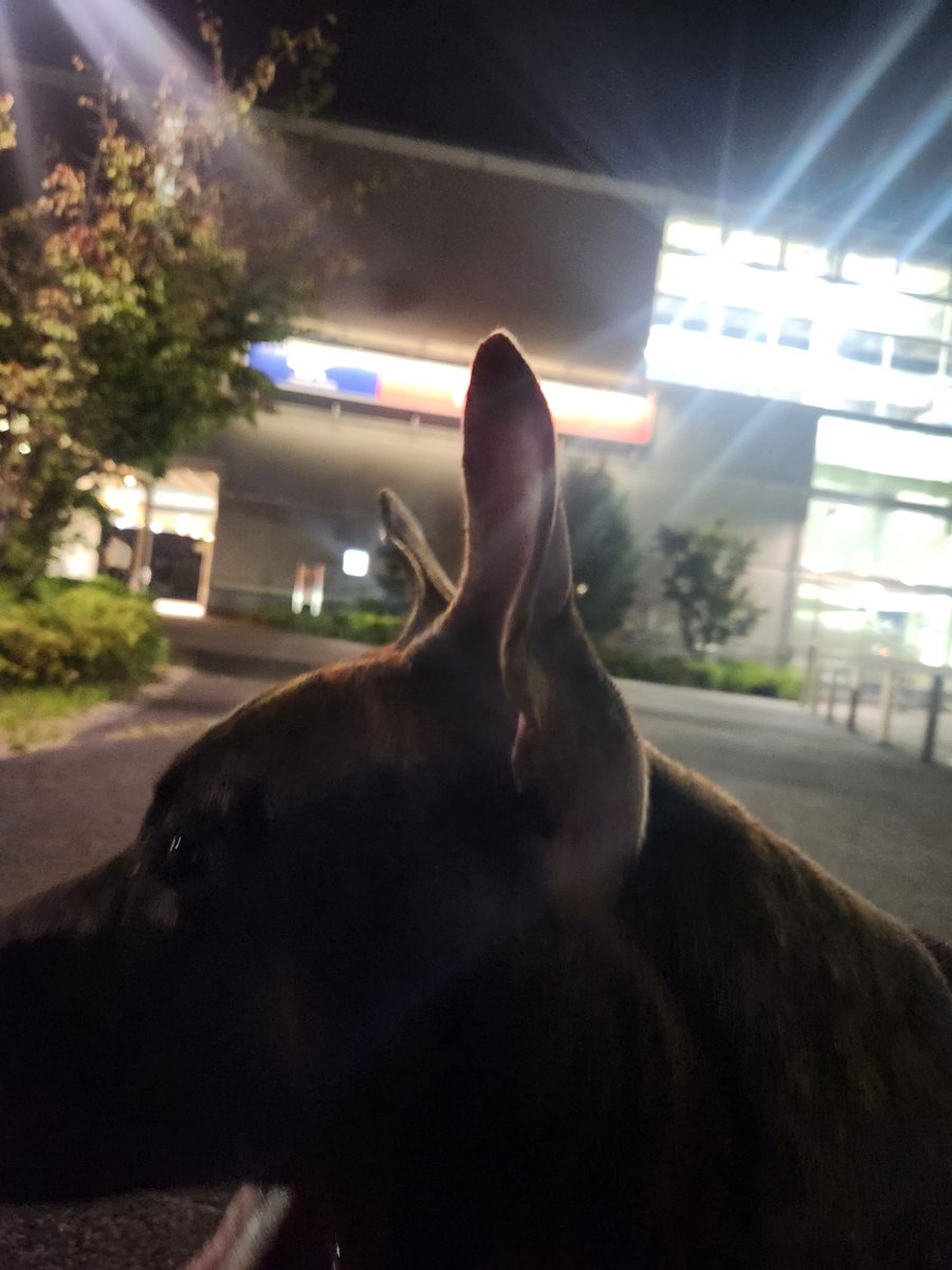 最寄り駅！！
徒歩1時間🐶